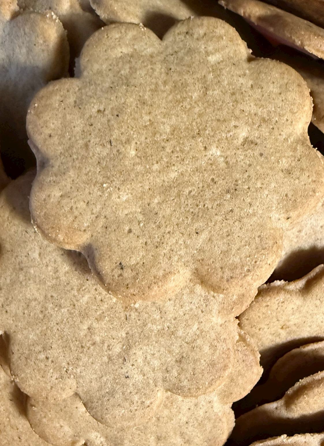 Nordthy Gewürzkekse 100g