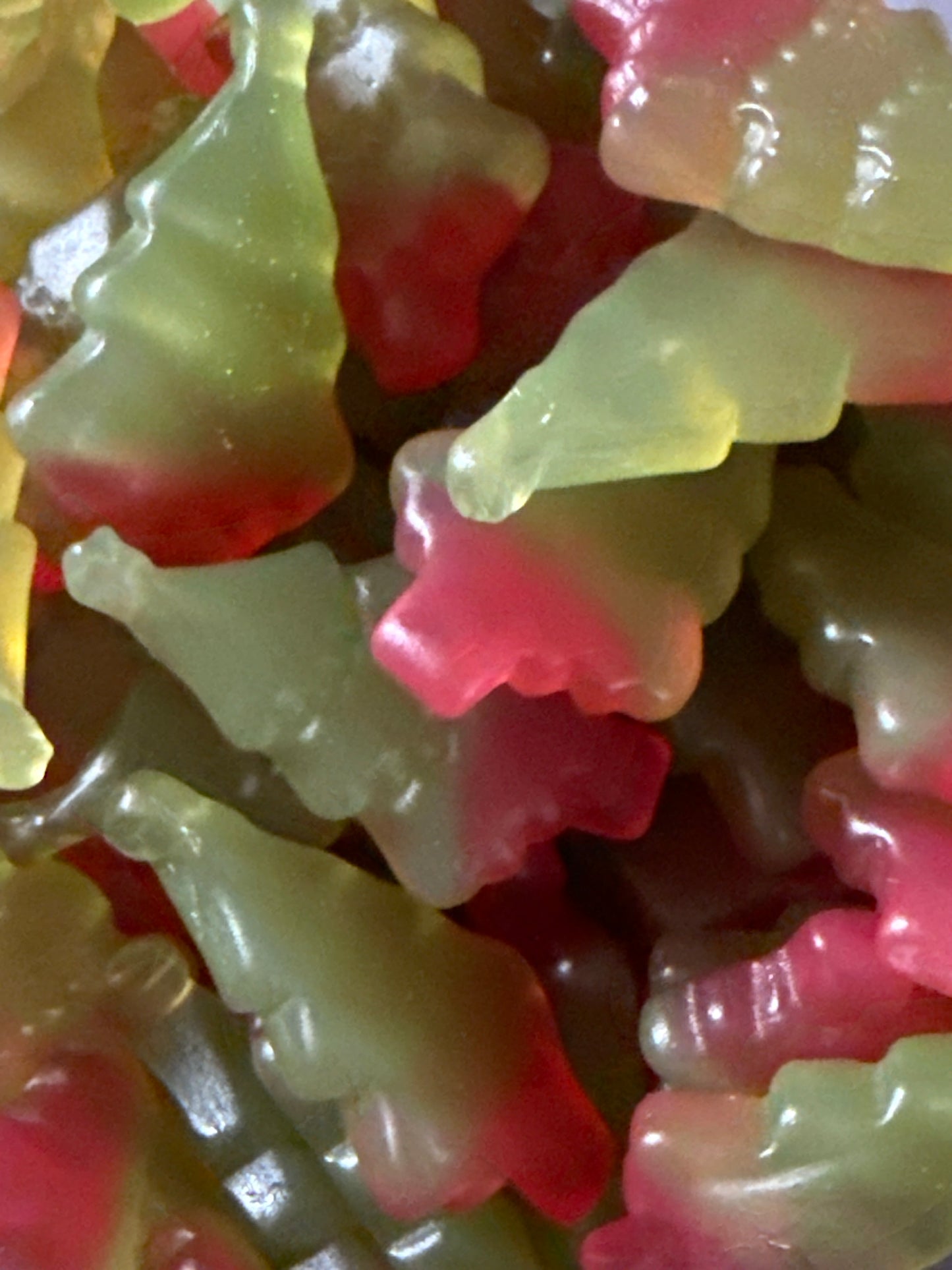 Haribo Riesen - Tannen 🌲