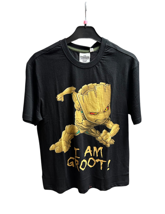 T Shirt Groot Herren